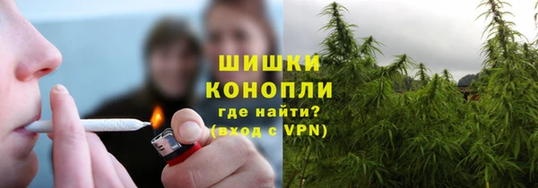 прущие крисы Арсеньев