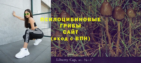 дурь Приозерск