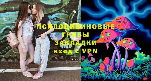 мдпв Армянск