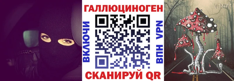 Псилоцибиновые грибы мицелий  Чернушка 